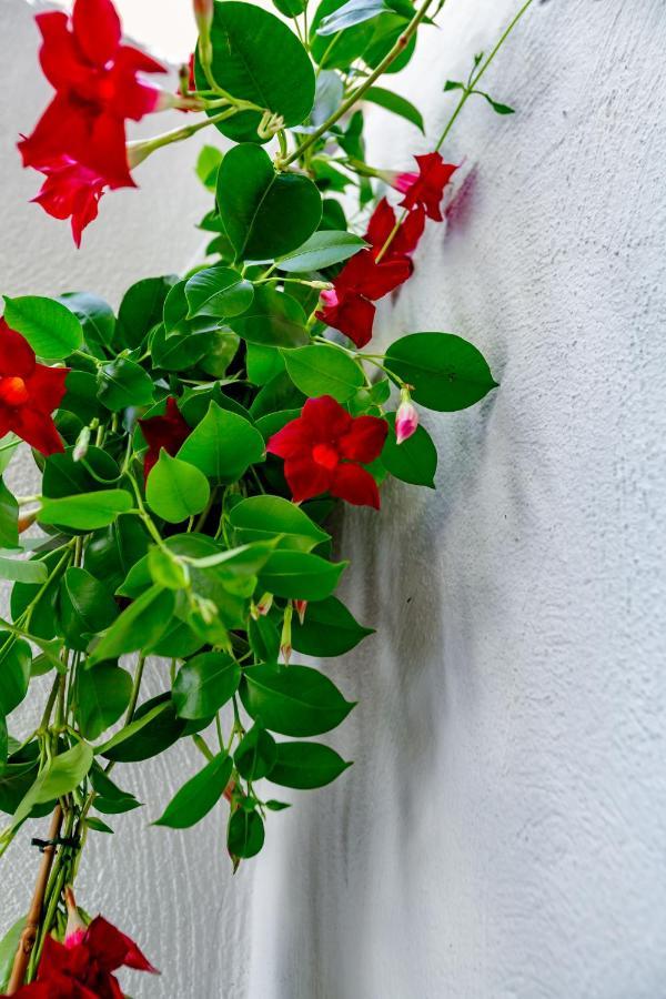 Antonella Home B&B Bari Buitenkant foto
